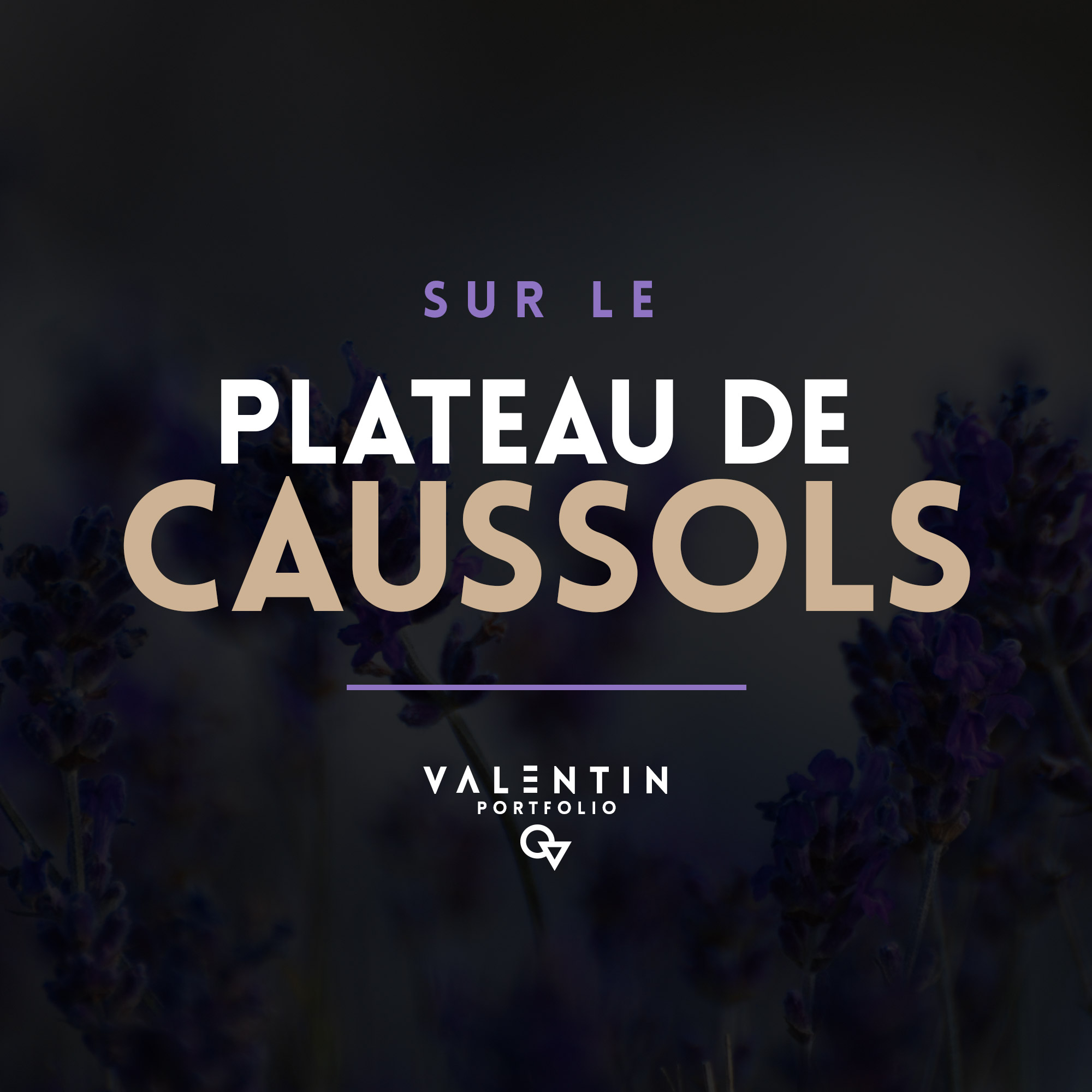 Sur le plateau de Caussols